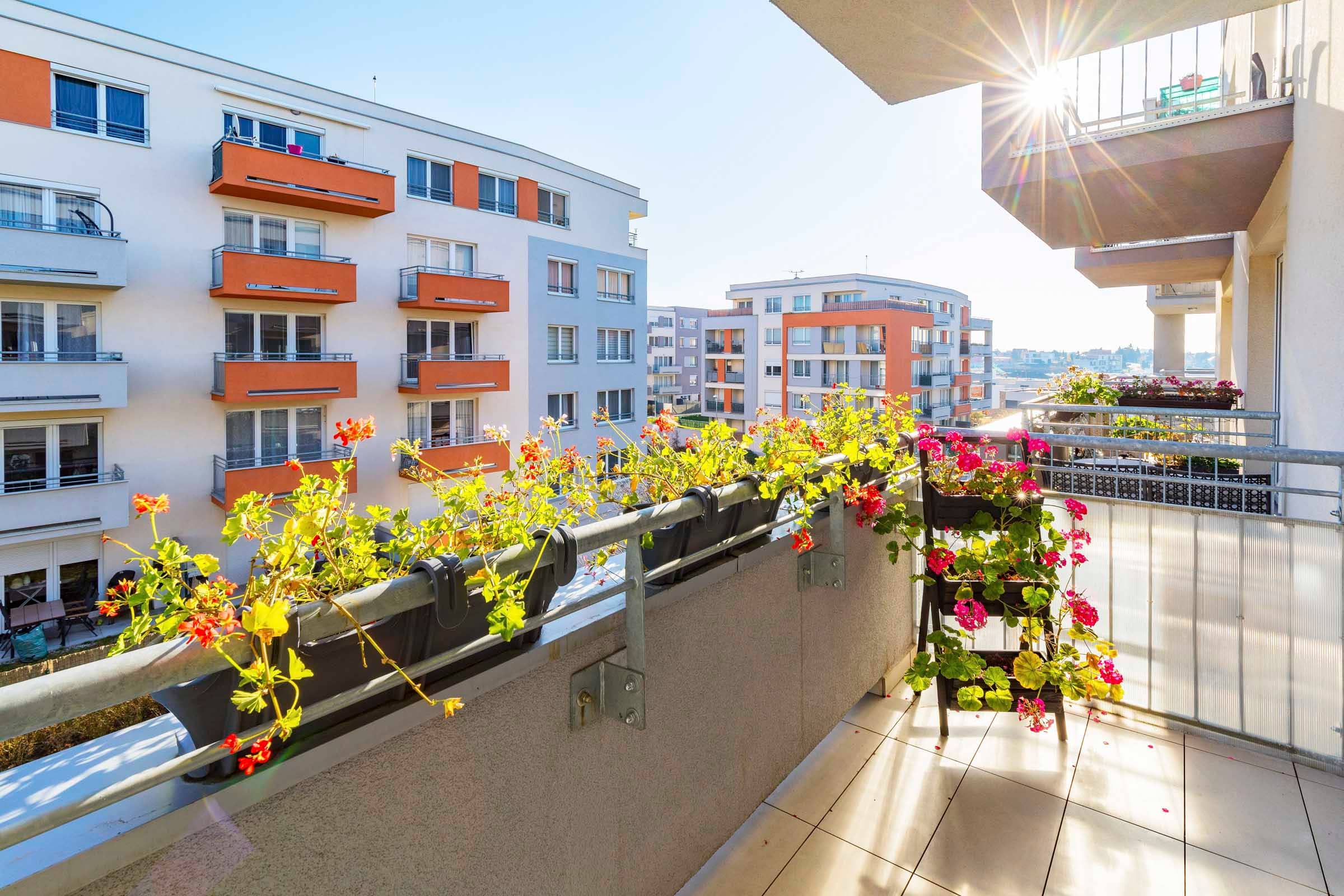 Appartment Toufarova