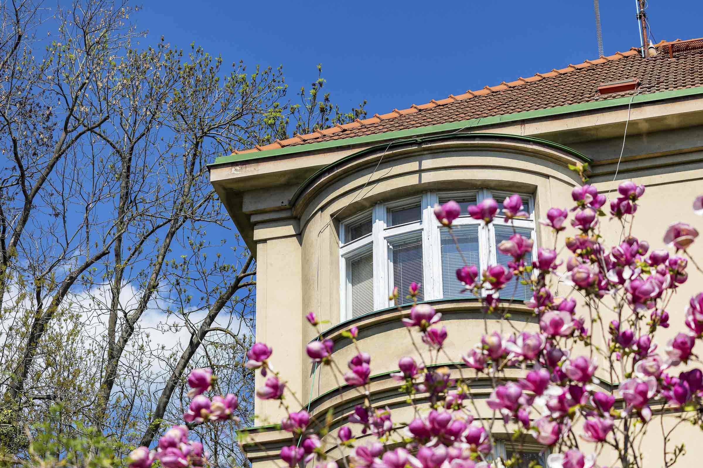 Historická vila Pod Děvínem 